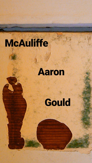 McAuliffe*Aaron*Gould Trio image