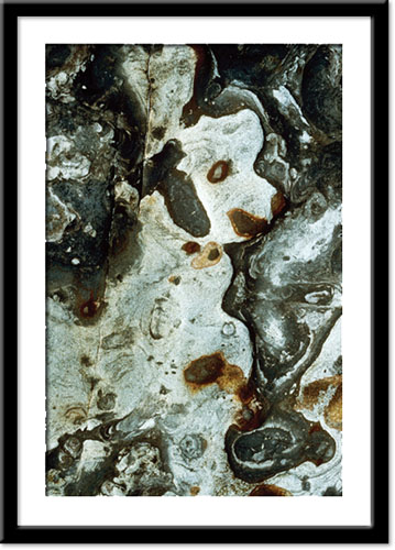 See A Child�s Garden of Photographs as On the Walls page.