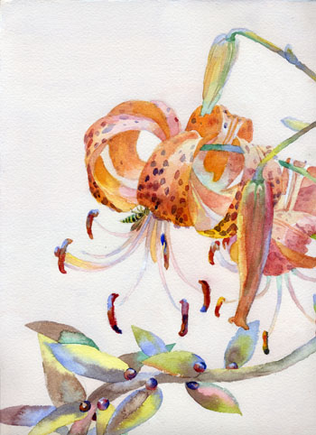 See Flowers in Light as On the Walls page.