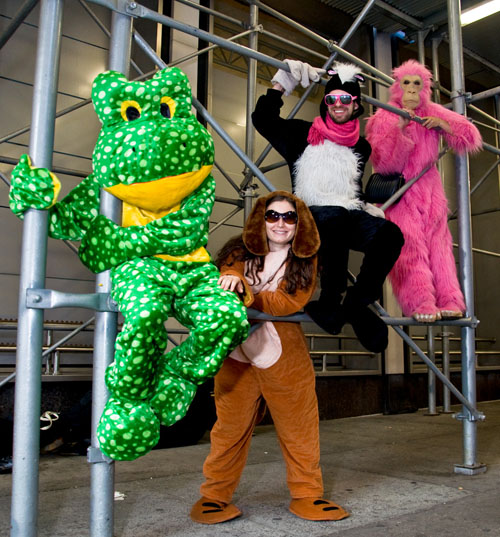 The Xylofolks image